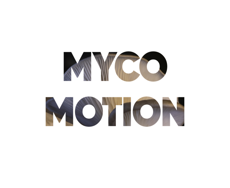 Myco Motion